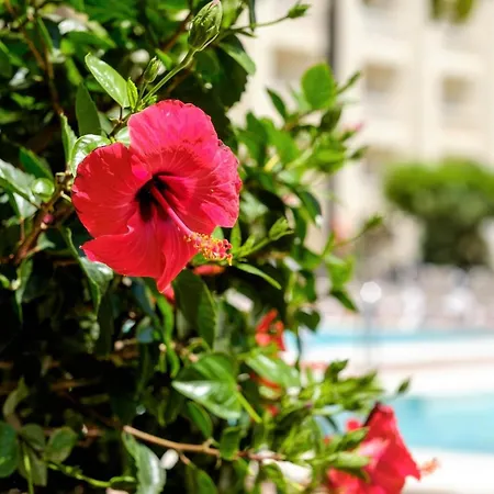 Hotel Moon Dreams Portomagno 4*